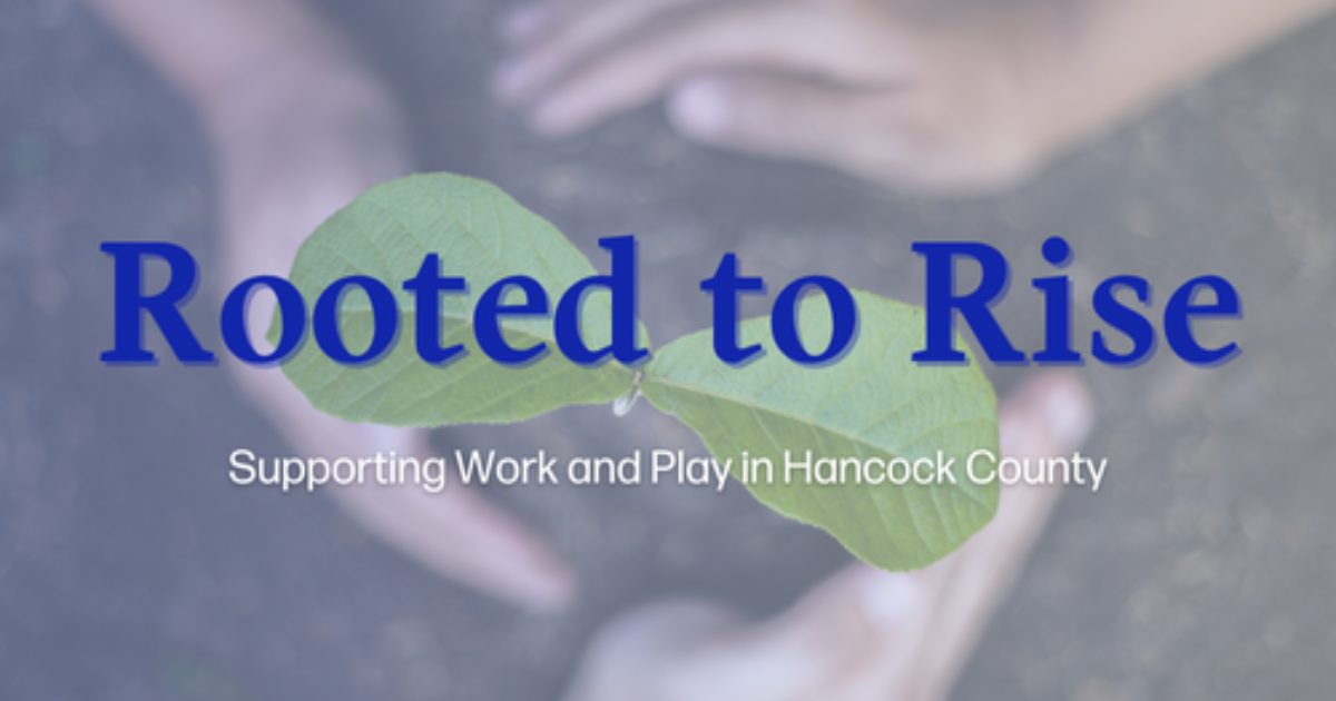 Rooted to Rise | The Findlay-Hancock County Community Foundation