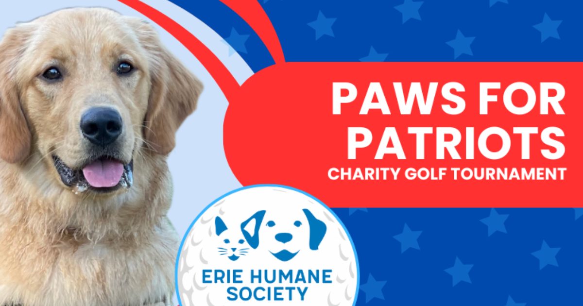 Paws for Patriots Charity Golf Tournament Erie Humane Society