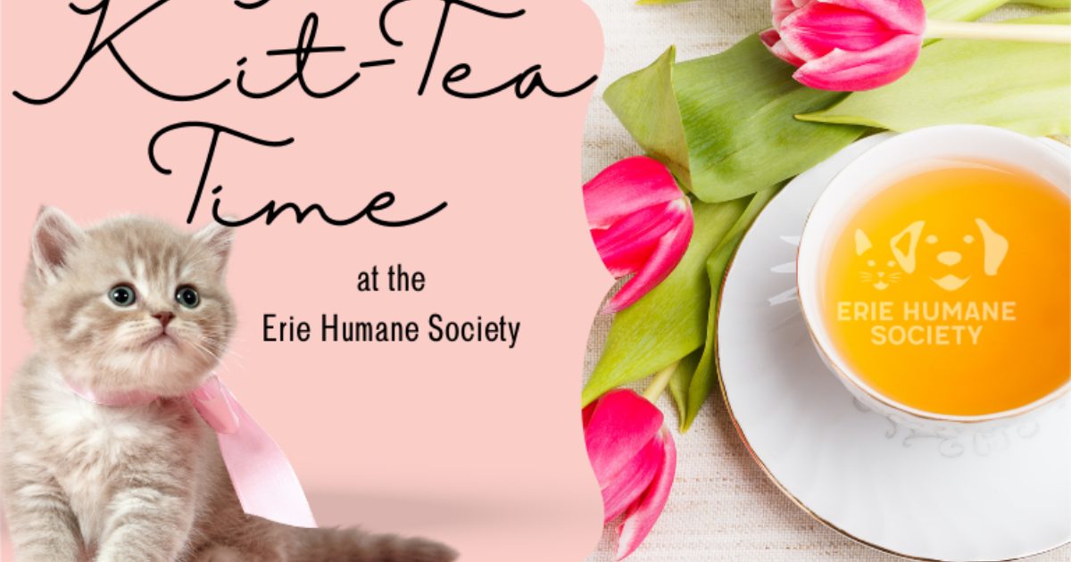 Kit Tea Time Erie Humane Society kit-tea-time-erie-humane-society