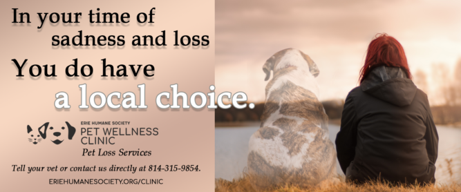 Pet Loss Cover Photo web