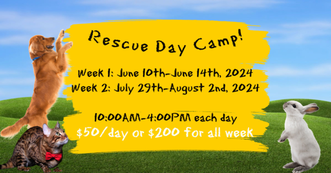 Rescue Day Camp