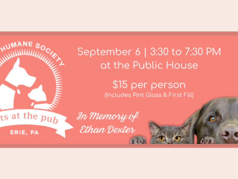Pets at the Pub