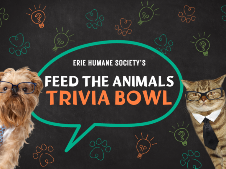 Feed the Animals Trivia Bowl