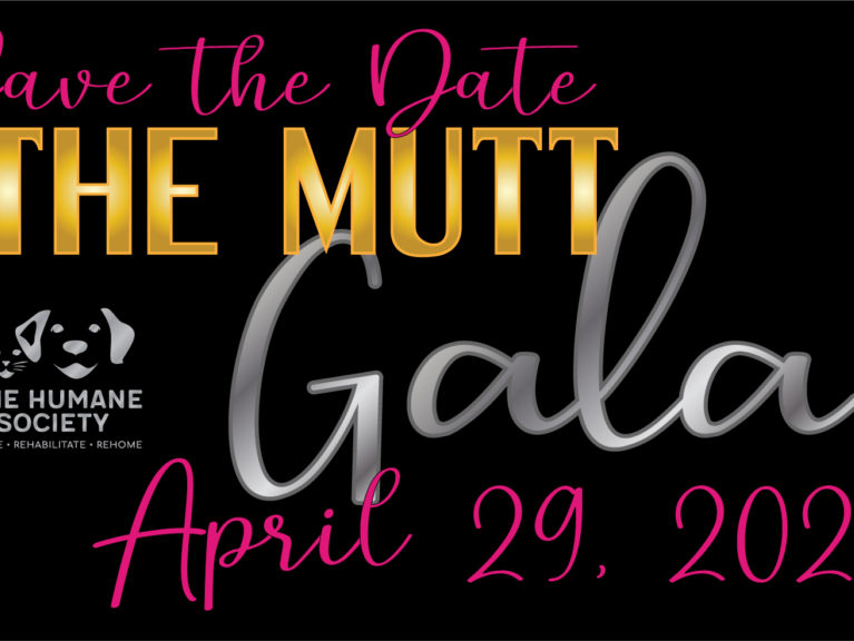 The Mutt Gala