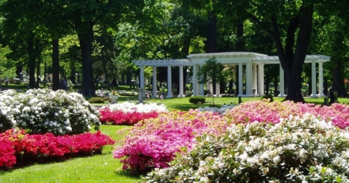 Decor Rules Erie Cemetery Association