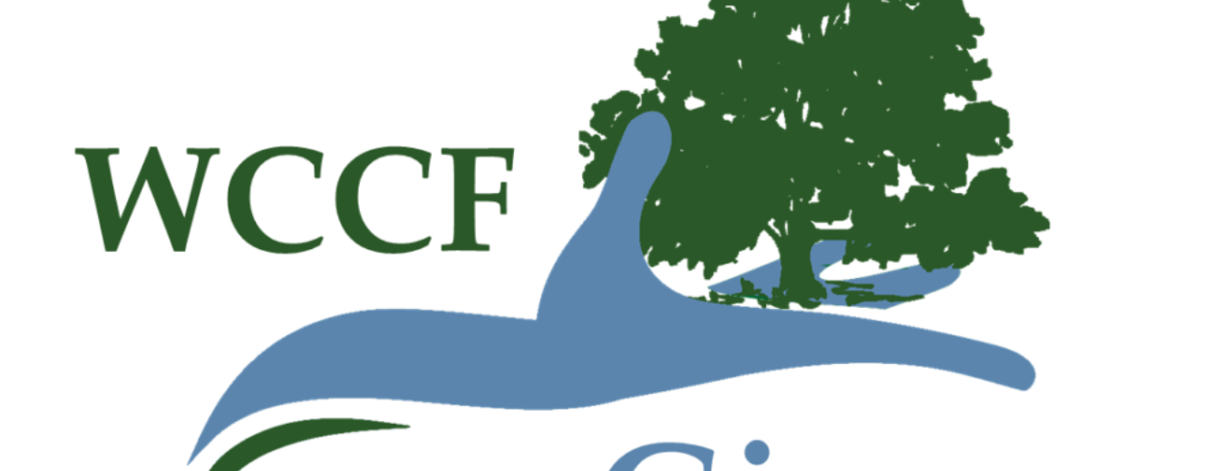 WCCF Gives 23 Logo no BG