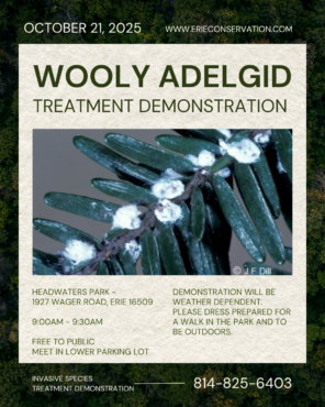 Wooly Adelgid treatment event