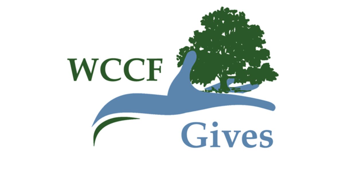 WCCF Gives Day 2025 | Frank Sarris Public Library