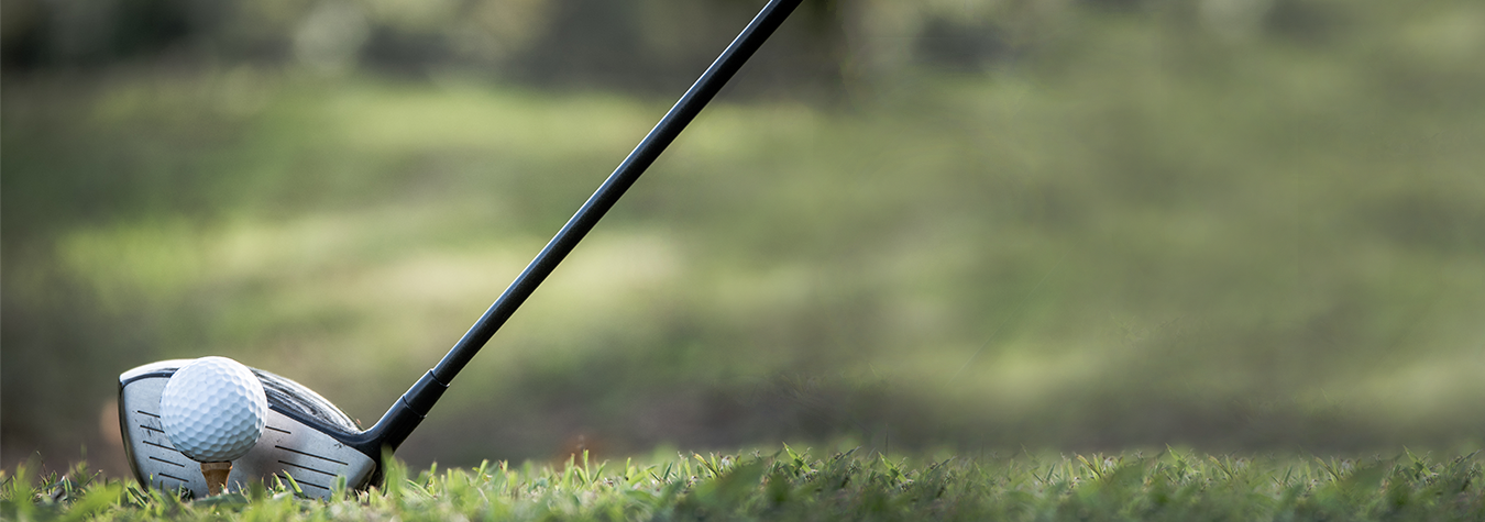 2026 swpa area agency on aging golf outing