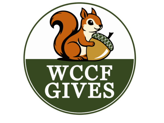 Logo with text PNG1