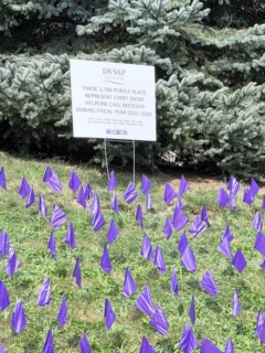 2026 Walk 12