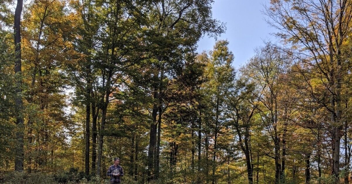 A Bird’s Eye View of Fall Foliage and A Winter Forecast | FORECON Inc.