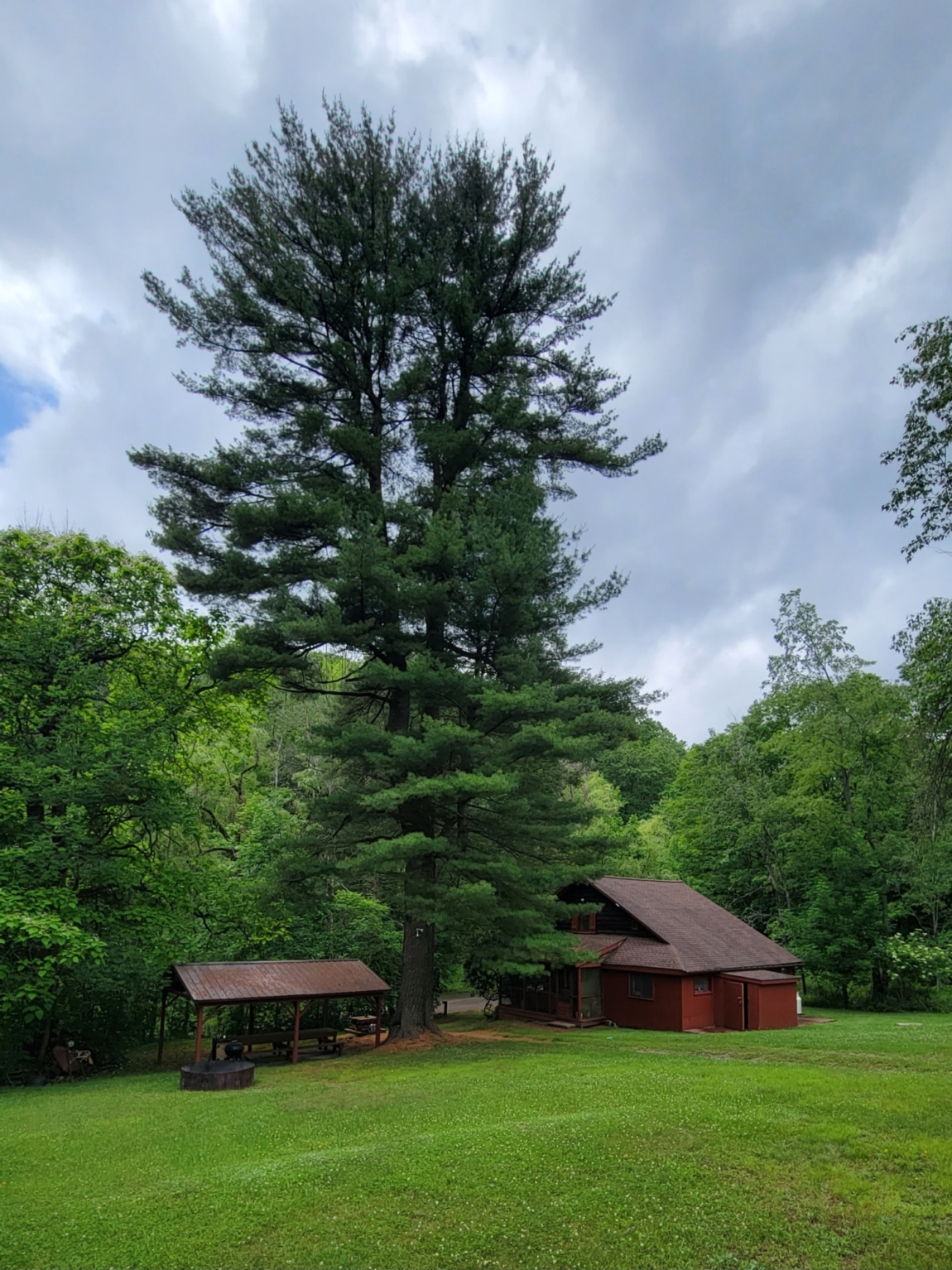 Big Pine 2