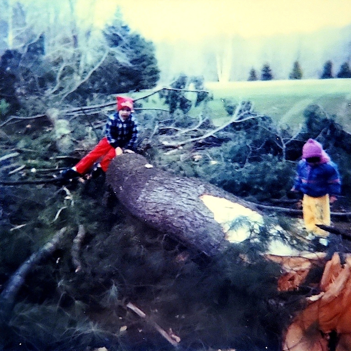 Big Pine 4