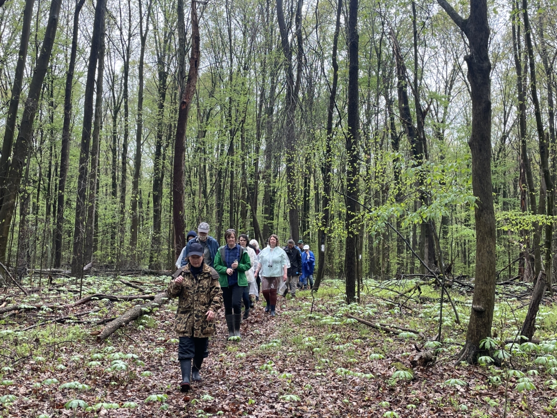 Wildflower Walk