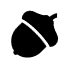 Acorn Icon