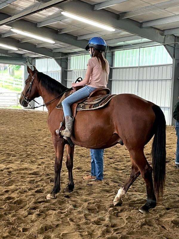 Horse Therapy 4