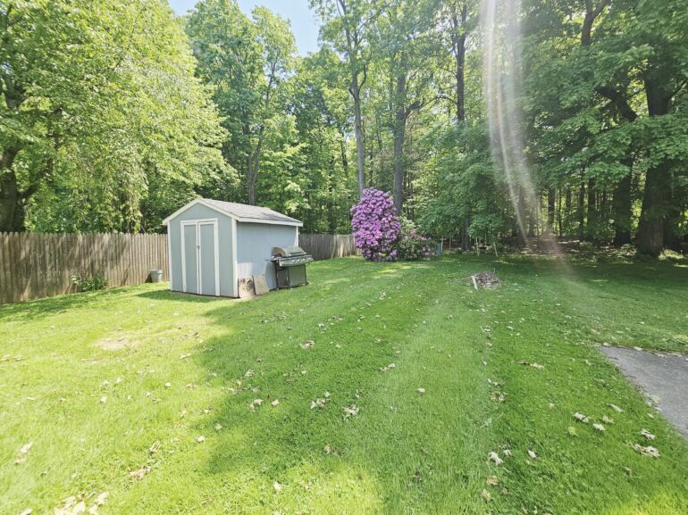 305 307 Backyard