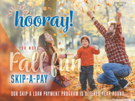 24 Skip Fall FP