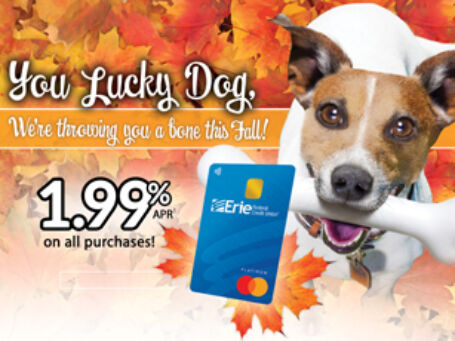 25 MC199 Doggie Fall FP