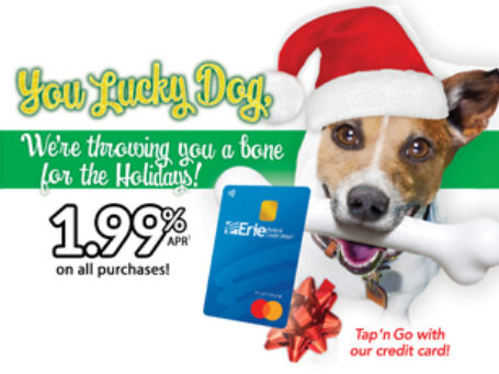 25 MC199 Doggie Holiday FP