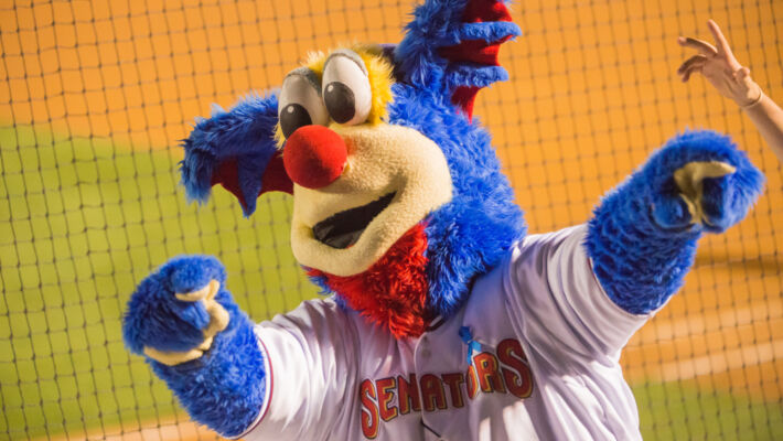 Pinnacle Health Auxiliary Fundraiser: Harrisburg Senators vs. Portland Sea Dogs