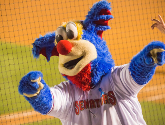 Pinnacle Health Auxiliary Fundraiser: Harrisburg Senators vs. Portland Sea Dogs