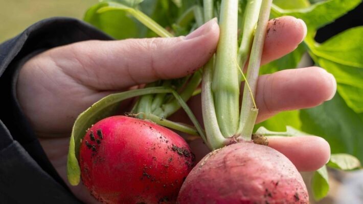 Support Community Health Programs