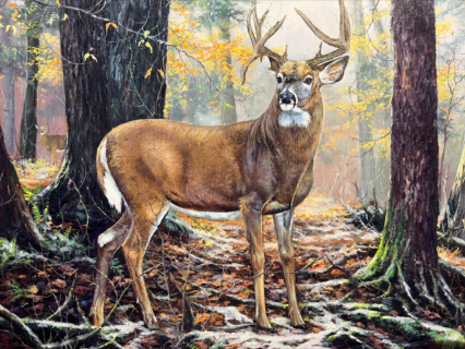 Rick Huegel 6