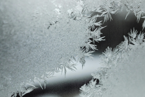 Pexels Ice Melt