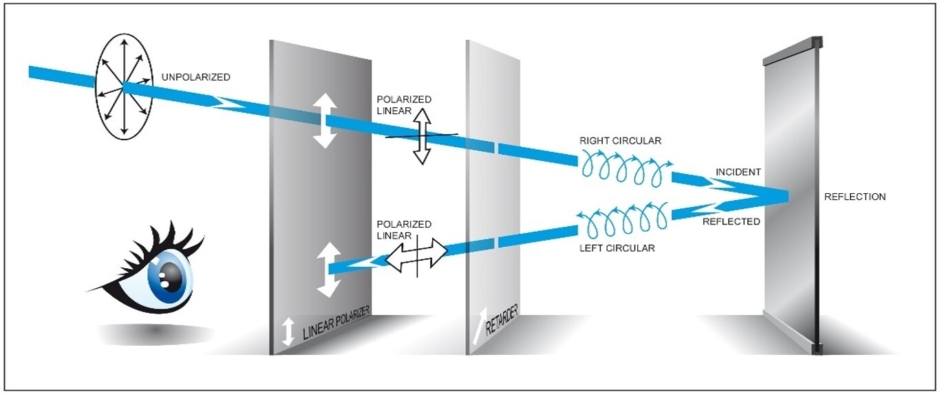 Circular Polarizer