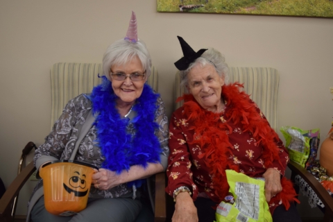 Trick or treat 2025 47