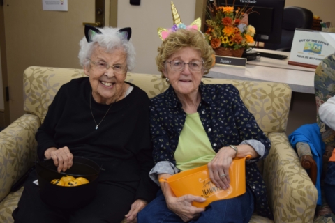 Trick or treat 2025 50