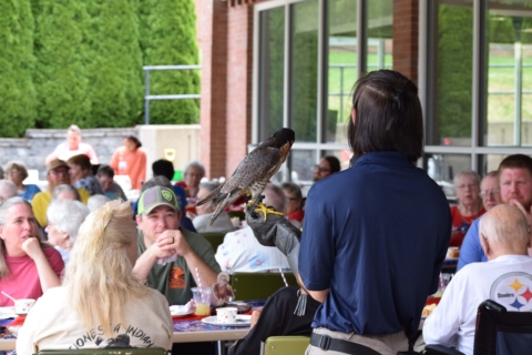 Bluebird Family Picnic 97