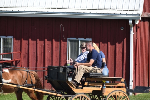 Equine Therapy 2026 112