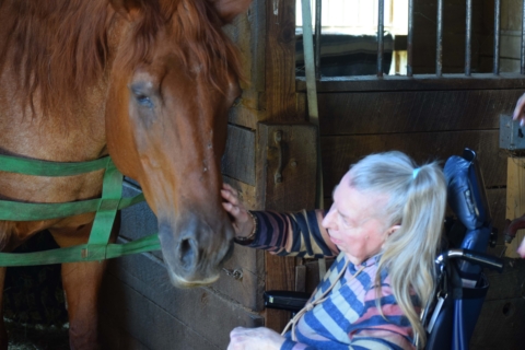 Equine Therapy 2026 125