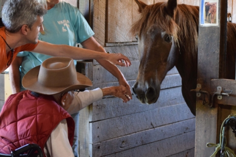 Equine Therapy 2026 129