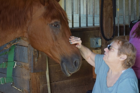Equine Therapy 2026 133