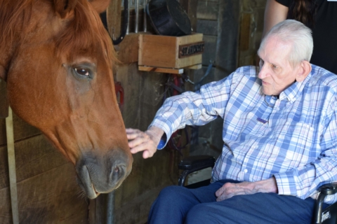 Equine Therapy 2026 139