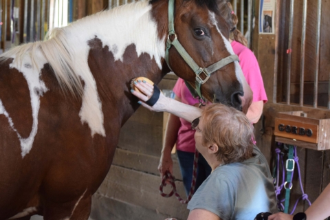 Equine Therapy 2026 140