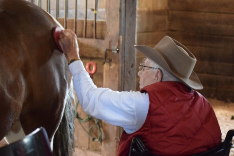 Equine Therapy 2026 144