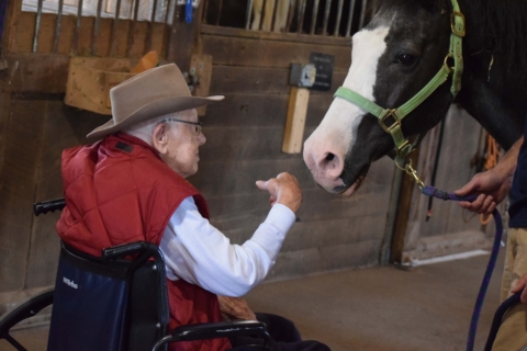 Equine Therapy 2026 146