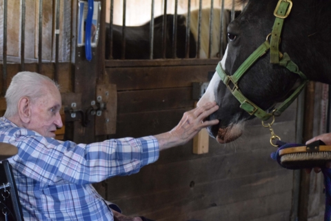 Equine Therapy 2026 149