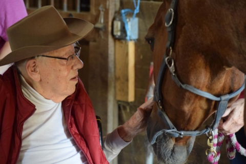 Equine Therapy 2026 157