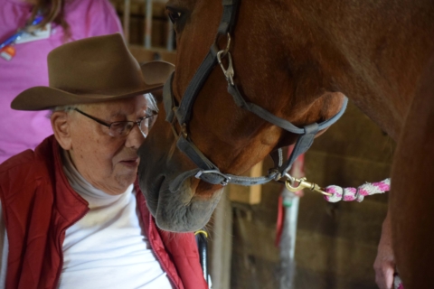 Equine Therapy 2026 159
