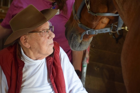 Equine Therapy 2026 162