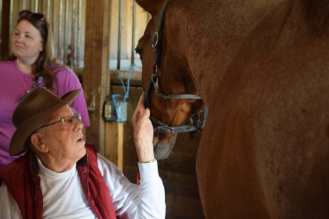 Equine Therapy 2026 165