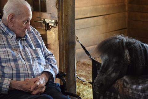 Equine Therapy 2026 171