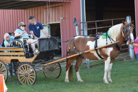 Equine Therapy 2026 19