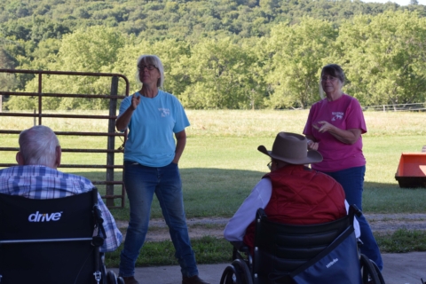 Equine Therapy 2026 3